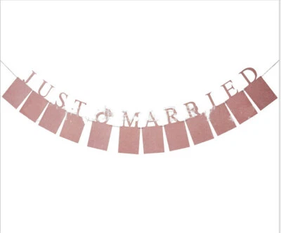 Decoración de pancarta de boda recién casada para recepción, utilería foto ducha nupcial  Foto 1 de 4