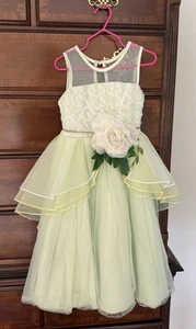 Trish Scully Princesa y la Rana Tiana Flor Cinturón Verde Tule Capa Forrado Talla 3 - Imagen 1 de 5