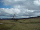 Photo 6X4 Hermaness National Nature Reserve, Unst Burrafirth A Great Skua C2002
