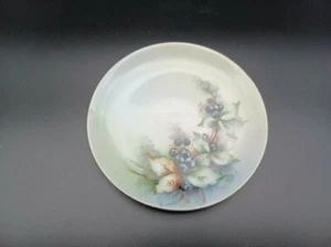 1857-1920 Antique Hutschenreuther Selb Bavaria Hand Painted 6 1/8" plate Berries - Picture 1 of 3