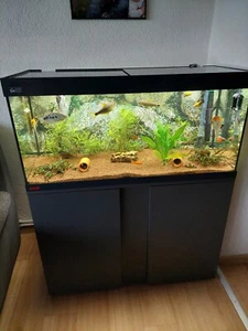 aquarium komplett mit unterschrank - Bild 1 von 1
