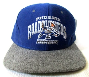 Vintage Phoenix Roadrunners Hat Cap IHL Official License Nutmeg Mills Wool New - Picture 1 of 9