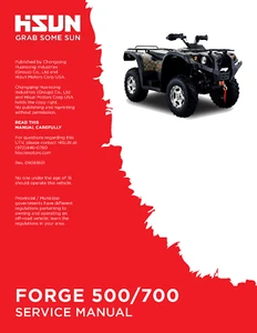 Hisun HS Forge 500 700 ATV Servicio Propietarios y Piezas CD Trail Tamer Gris Lobo Rodeo - Imagen 1 de 1