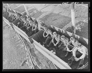 Pittsburgh, Pennsylvania (vicinity). Westland coal mine. Miners in "mine - Picture 1 of 1