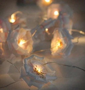Indoor 12 LED Light chain of roses 2.76 meters, battery operated - Brand new! - Picture 1 of 4