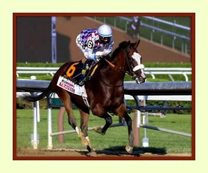 Tiz the Law Wins 2020 Saratoga  Travers Stakes 11x14 Matted 8X10 Photo print  - Picture 1 of 1