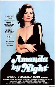 Amanda by Night 1981 Veronica Hart Adult Movie Poster Art Sexploitation - Picture 1 of 1