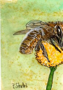 ACEO Honey Bee Flower Pollen Insect Outsider Original Naive Art Penny StewArt