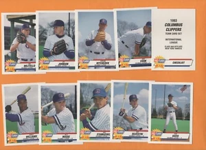 Set squadra ProCards Columbus Clippers 1993 Hitchcock Williams Davis quasi nuovo Yankees - Foto 1 di 2