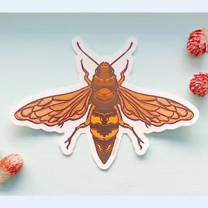 Pegatina avispa halcón cigarra - vinilo transparente - Imagen 1 de 8