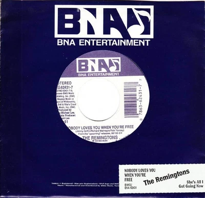 Remingtons, Nobody Loves You When You're Free/She's All I Got Going Now 45 VG++ - Image 1 of 2