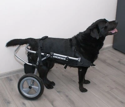 The Handicapped Dog Trolley Size XS-XXL - Image 1 of 3