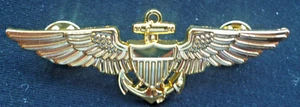 ALAS DE CALIFICACIÓN DE PILOTOS "TOP GUN" DE LA MARINA DE EE. UU. - Imagen 1 de 2