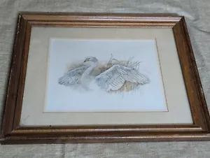Whooper Swan By Mads escenario impresión enmarcada vintage obra de arte decoración de pared 16"x13" - Imagen 1 de 8
