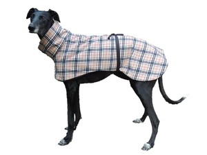 burberry dog collection