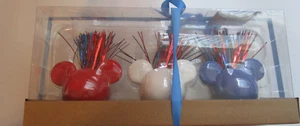 New Disney Americana Decorative Faux Botanicals Celebrate Together Kohls USA - Picture 1 of 7