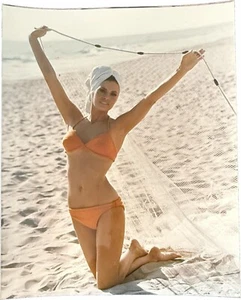 Raquel Welch Beauty 8x10 Photo - Imagen 1 de 3