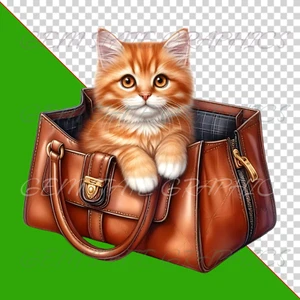 Süße orange Kätzchen Handtasche Handtasche druckfertig Sublimationsdruck Wärmeübertragung - Bild 1 von 6