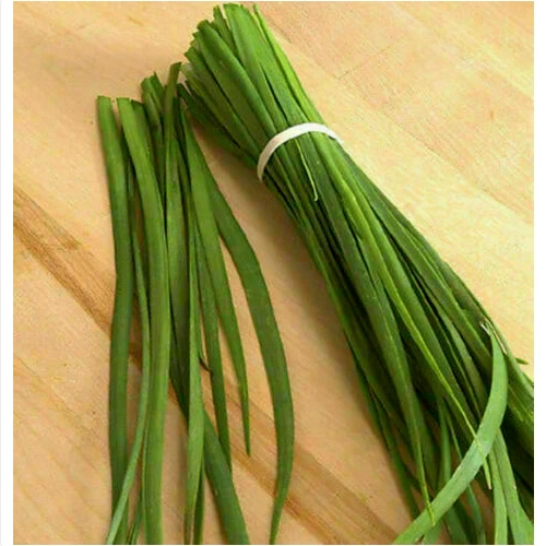 ALLIUM TUBEROSUM - AGLIO CINESE, 50 semi + OMAGGIO+SPEDIZIONE GRATUITA " - Immagine 1 di 1