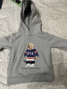 Polo Ralph Lauren Bear Hoody Sweater - Picture 1 of 7