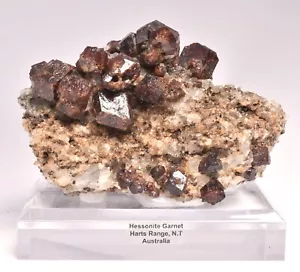 HESSONITE GARNET, HARTS RANGE N.T. AUSTRALIA M134 - Foto 1 di 8