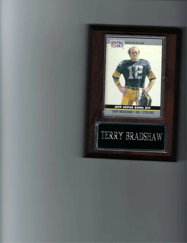 TERRY BRADSHAW PLAQUE PITTSBURGH STEELERS FOOTBALL NFL   C2 Cover