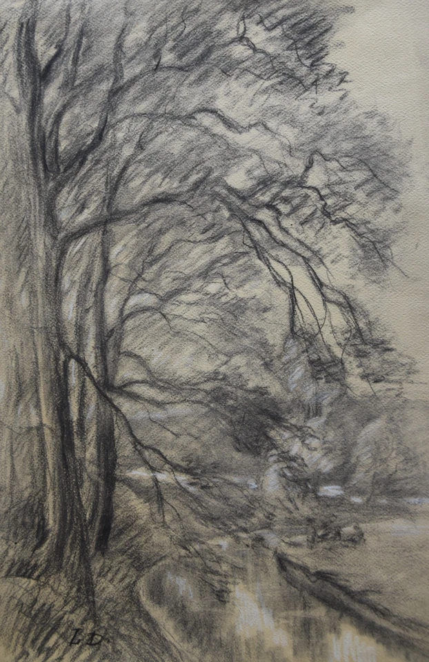 Louis Dupuis (1862-1951) (319) - fusain - paysage - Photo 1/1