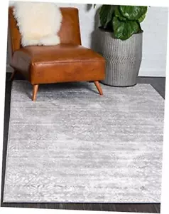 Sofia Collection Area Rug - 2' 2" x 3' 1" Rectangle Rectangular Gray/Ivory - Picture 1 of 7