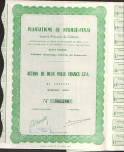 Plantagen von NYOMBE-PENJA (NYOMBE KAMERUN) (L) - Bild 1 von 1
