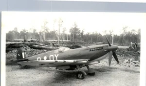 Supermarine Plane Photo (3 x 5 in) Spifire VIII - Picture 1 of 2