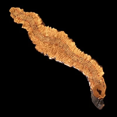 Large Unused Hand Crafted Burl Maple Live Edge Treen Wooden Cribbage Board NM - Image 1 of 4