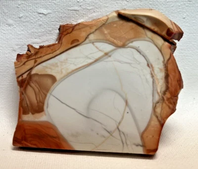 Willow Creek Jasper 65gm Gem Lapidary Slab! - Image 1 of 2