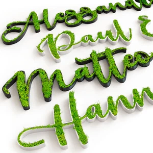 Moos Türschild Personalisiert Kinderzimmer Tür Namensschild Wand Schriftzug Büro - Picture 1 of 7