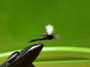 1 Dzn - Parachute Black Gnat Midge Dry Fly Trout - Picture 1 of 1