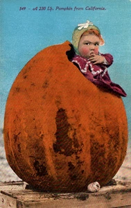 PUMPKIN FROM CALIFORNIA POSTCARD Little Girl, Finger in Mouth In Pumpkin 1915 - Picture 1 of 2