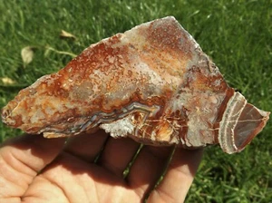 DIG-N-UTAH: POLISHED CRAZY LACE AGATE CAB  # L 248 - Picture 1 of 5