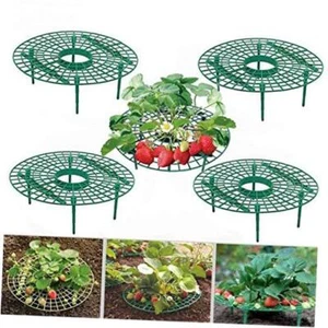 10 Pack Strawberry Supports Keeping Fruit Elevated & Balcony Planting 10Pack - Picture 1 of 7