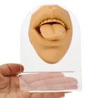 Körperschmuck Modell Zungennagel Werkzeug Falsches Gesicht