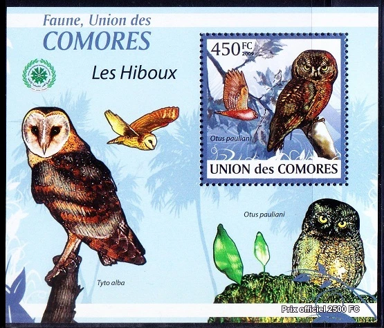Hoja Karthala cuchara búho, búhos, aves rapaces, comoras 2009 MNH   Foto 1 de 1