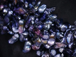 Freshwater Pearls Grey/Blue Stick Type 35cm Strand Shell Jewellery  - Picture 1 of 1