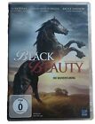 Black Beauty von Daniel Zirilli | DVD | Zustand Sehr Gut