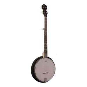 Gold Tone AC-5: Acoustic Composite 5-String Banjo with Gig Bag - Picture 1 of 1
