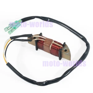 For Tohatsu Nissan 25HP 30HP 3P0-06023-0 3P0060230 NS25C3 M30A3 2002 Stator Coil - Picture 1 of 8