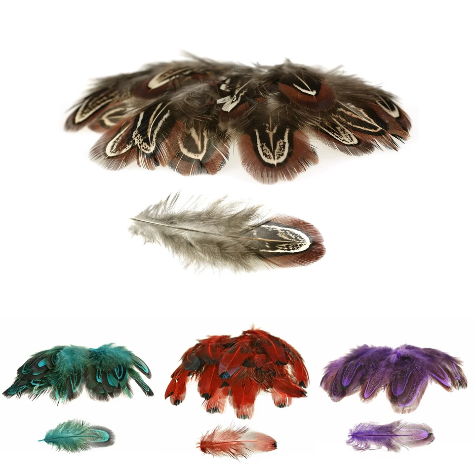 50 Hühnerfedern f. z.B. Federkostüm ca. 4~8x1~2cm gefärbt, Farbwahl - Bild 1 von 1