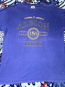 Vintage Albion New York USA Mens T-Shirt Size Large Blue Classic Cotton - Picture 1 of 13