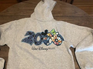 Sudadera con capucha pequeña gris gris de Walt Disney World 2006 - Imagen 1 de 7