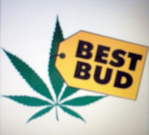 T-Shirts-Best Bud - A12509B on white - Picture 1 of 1