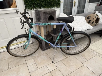 Raleigh Massif Unisex Mountainbike Retro 90’s Oldschool Schnäppchen - Bild 1 von 4