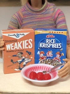 Barbie Dollhouse Food LOT Kitchen Cereal 5pc Breakfast SET Fruit BOWL & Spoon - Picture 1 of 5