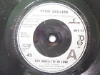 Peter Skellern Too Much I'm In Love 7" Mercury Mer54 Ex 1977 Too Much I'm In Lov